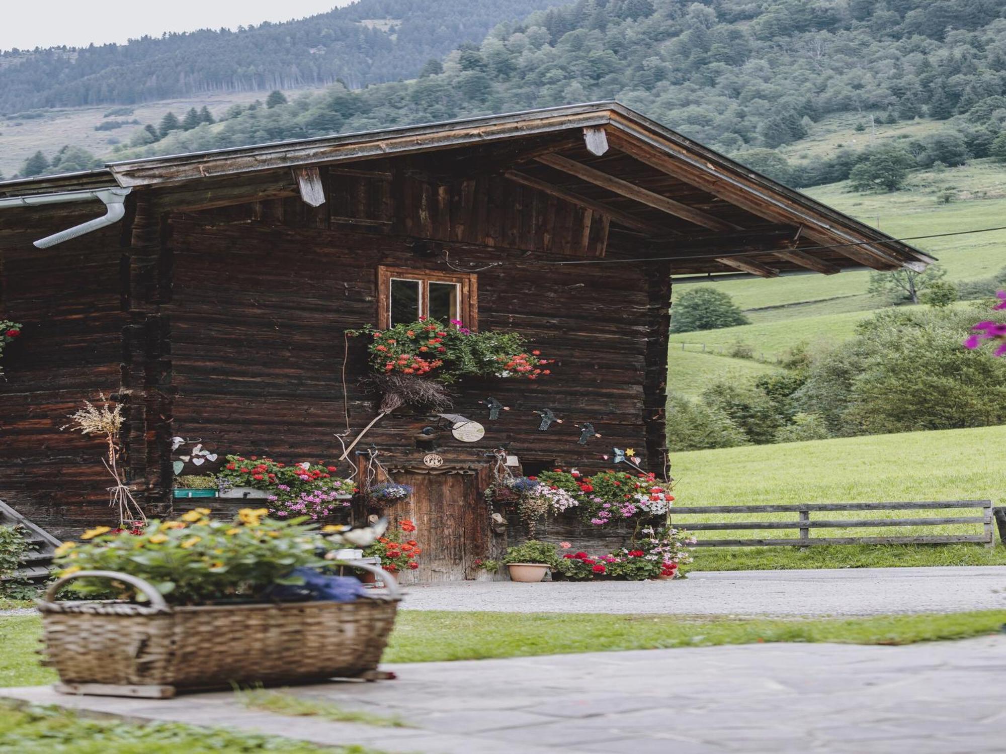 Holiday Home Fusch An Der Glocknerstra E Fusch an der Grossglocknerstrasse Luaran gambar